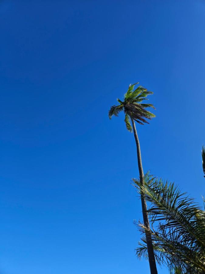 Al Mar Suites プライア・ド・フォルテ エクステリア 写真